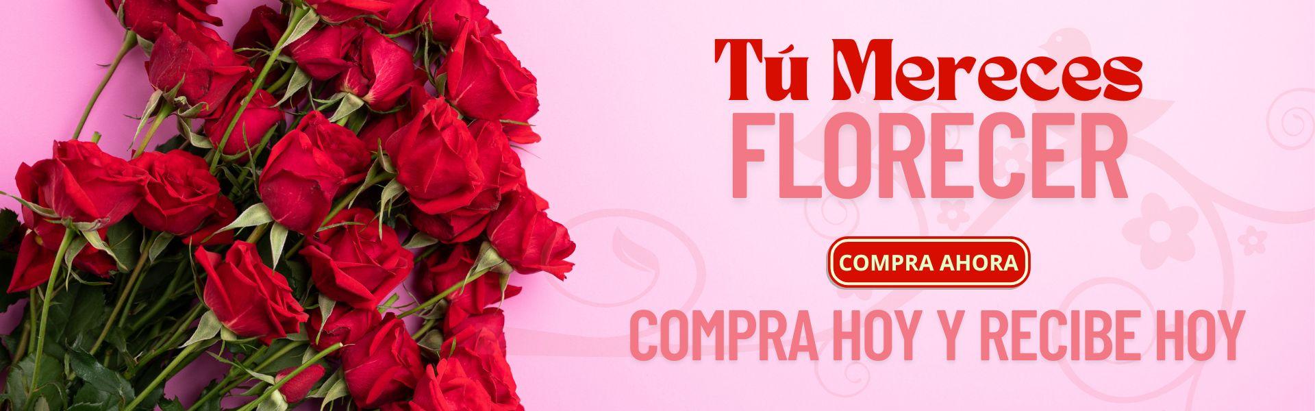 flores|flores bucaramanga|entrega a domicilio 