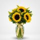 Florero de cristal con girasoles – Flores Bucaramanga